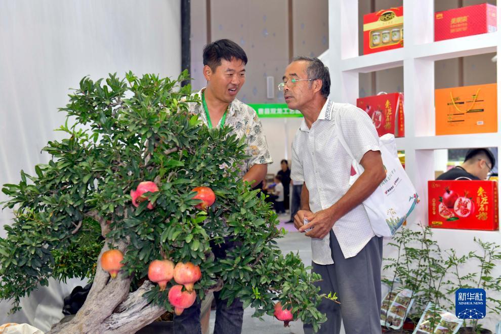 博友亚洲